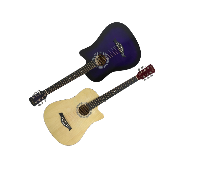 Acoustic Guitars - Purple & Natural