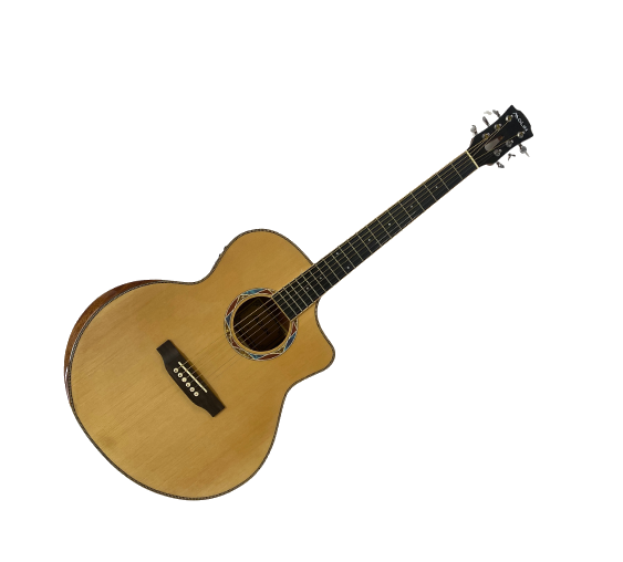 Premium Acoustic Guitar