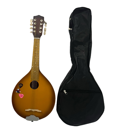 Mandolin with Soft Case