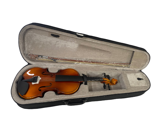 Violin in Hard Case